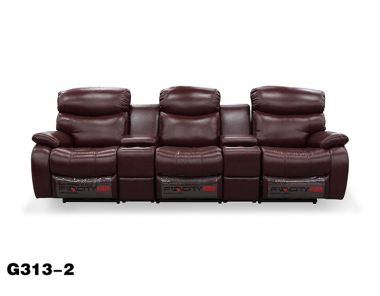 G313